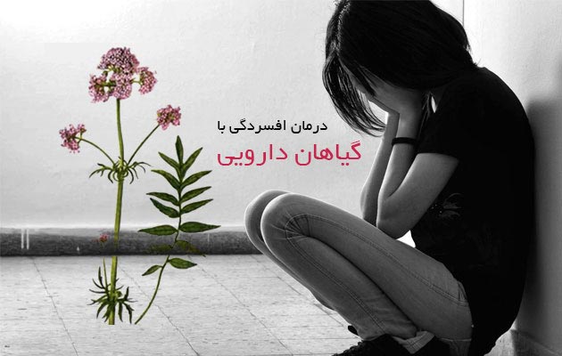 افسردگی-گیاهان-دارویی